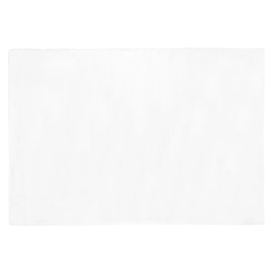 Eagleville Tufted White Rug