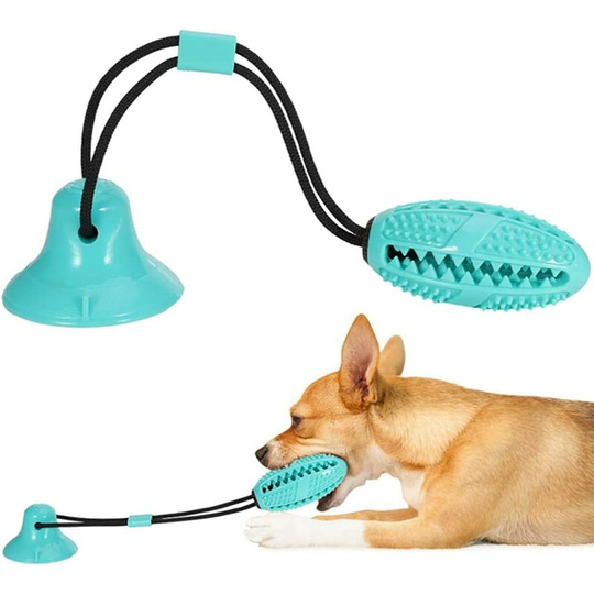 Molar Bite Toy with suction cup, natural rubber molar toy for cleaning teeth with dental care - Litzee