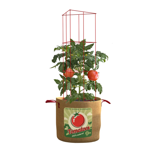Gracelynn Tomatoes Plant Stand