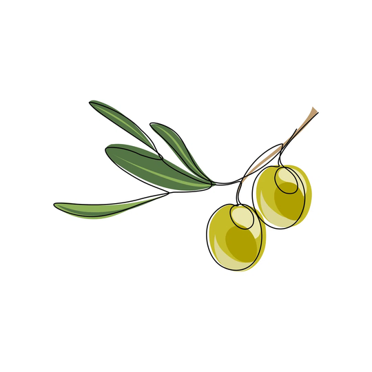 Green Olives - Wrapped Canvas Graphic Art