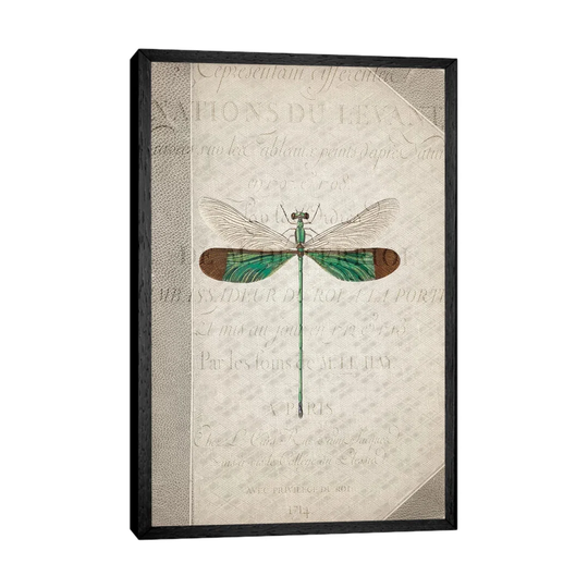Dragonfly Book II - Art Prints on Canvas