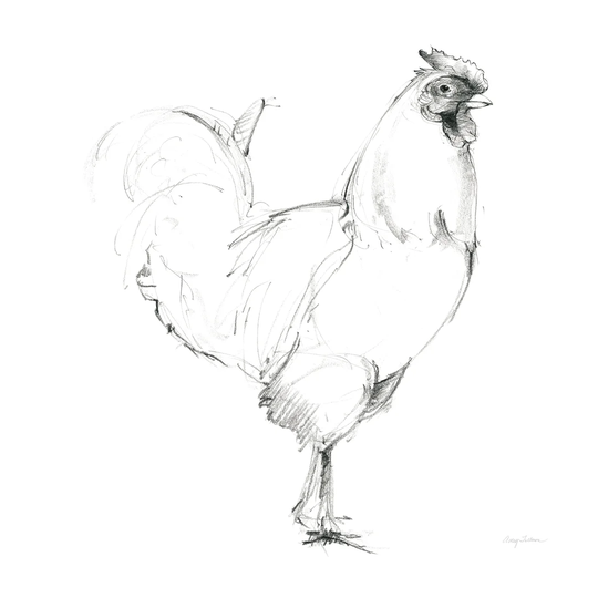 'Rooster II Dark' by Albena Hristova - Wrapped Canvas Drawing Print