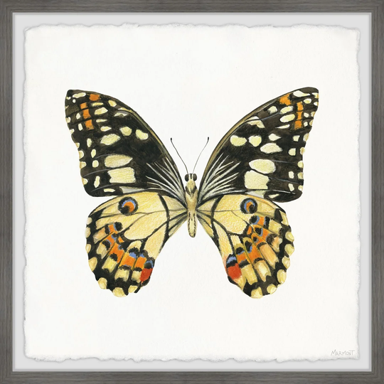 Scaly Wings - Picture Frame Painting