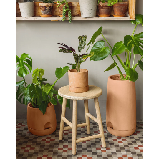 Juno Terracotta Self-Watering Plant Pot