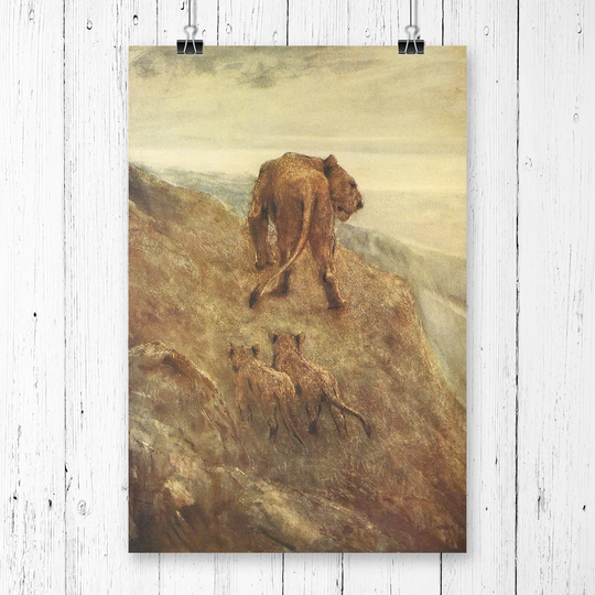 'Vintage John Macallan Swan Lion and Cubs' Graphic Art