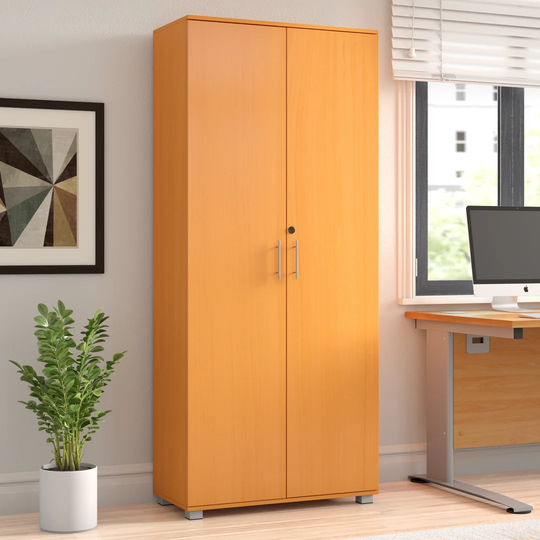 2 Door Storage Cabinet