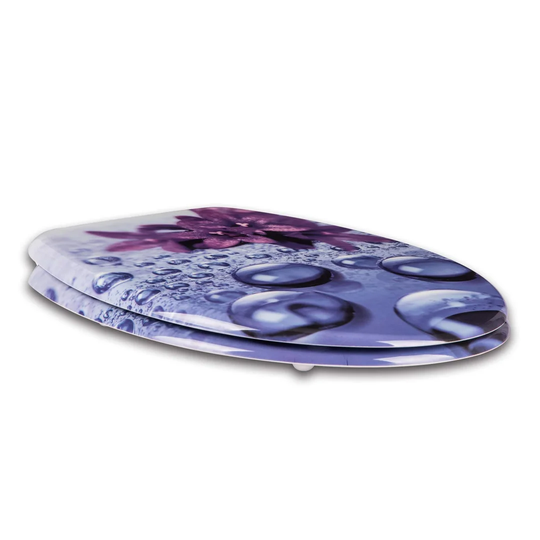 Dejanee Soft Close Elongated Standard Toilet Seat