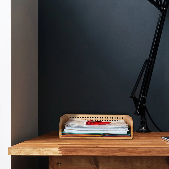 Document tray