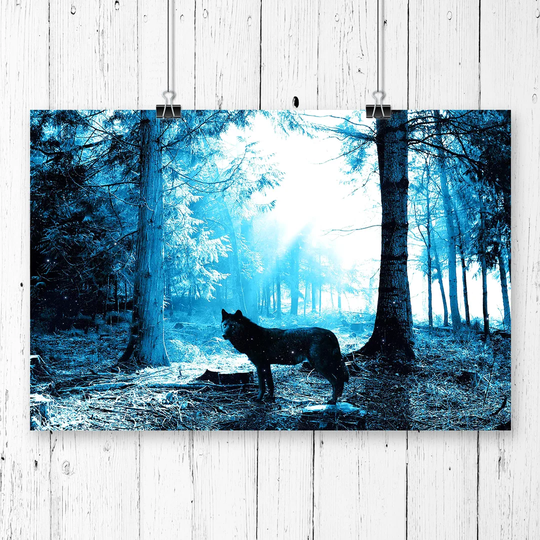 'Black Wolf in Blue Forest' Graphic Art