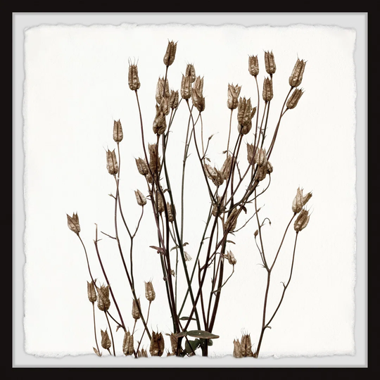 'Rustic Branches' Framed Painting Print