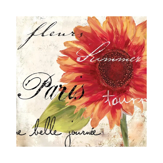 Paris Songs II by Color Bakery - Wrapped Canvas Art Prints