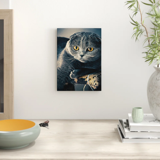 "Scottish Fold Cat" Graphic Art