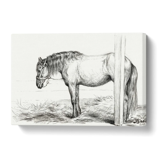 'A Horse in a Stable' by Jean Bernard - Wrapped Canvas Drawing Print