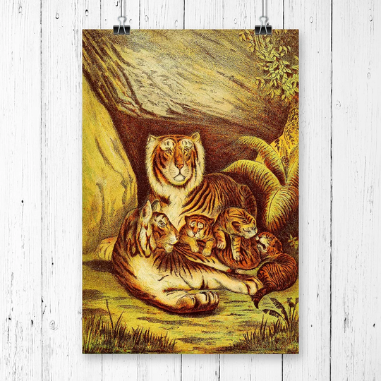 'Vintage Tigers at home' Graphic Art