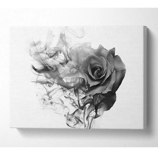 Rose to Smoke - Wrapped Canvas Graphic Art