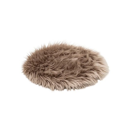 Knisley Brown Rug