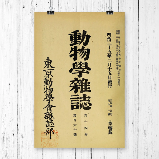 'Script Japanese Oriental Art' Graphic Art