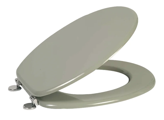Elongated Toilet Seat