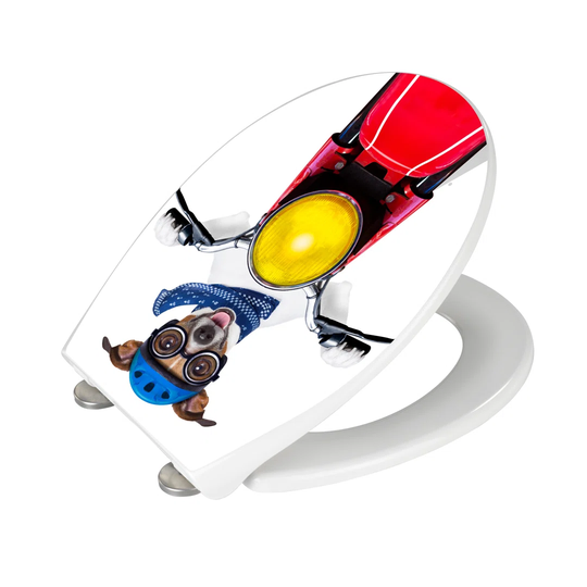 Dear Soft Close Elongated Toilet Seat