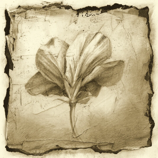 Floral Impression IX by Ethan Harper - Wrapped Canvas Painting