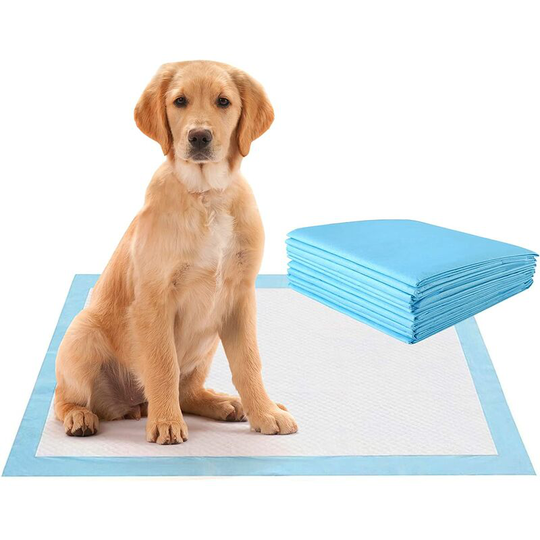 Puppy Training Pads,Super Absorbent & Leakproof Dog Cat Pee Pad with 5-Layer Design, Disposable Pet Floor Toilet Mats (75*75CM 150 Pack) - Costway