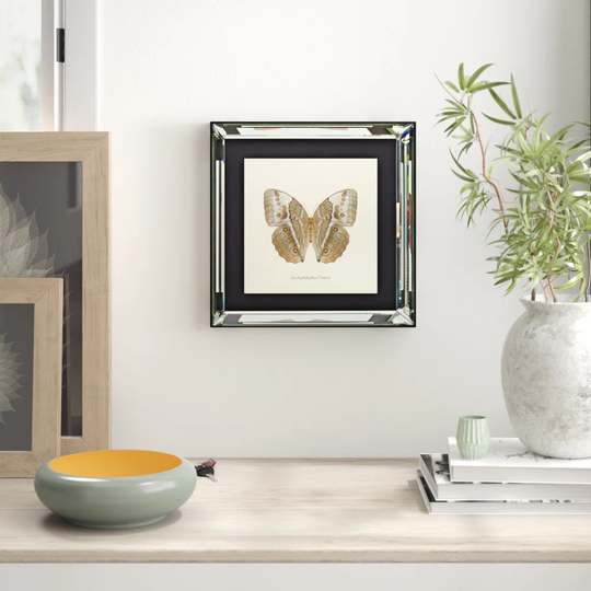 'Stichophathalma Vertral' Framed Graphic Art Print on Glass
