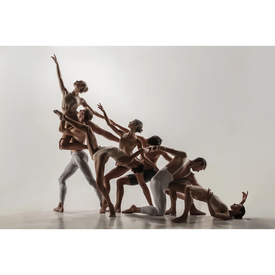 Ballet Dancers - Wrapped Canvas Photograph