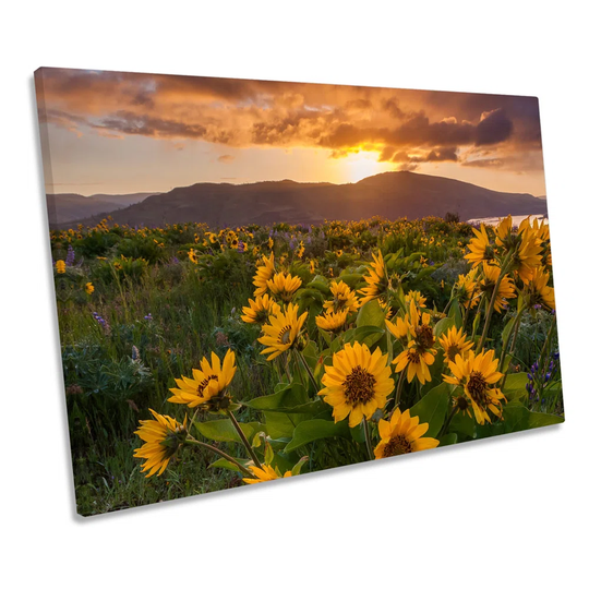 Wild Flowers Sunset Mountain CANVAS WALL ART Framed Print
