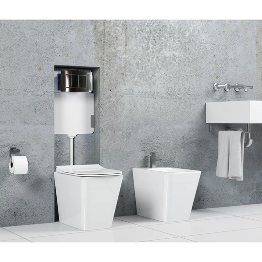 Low Level Toilet with Dual Flush