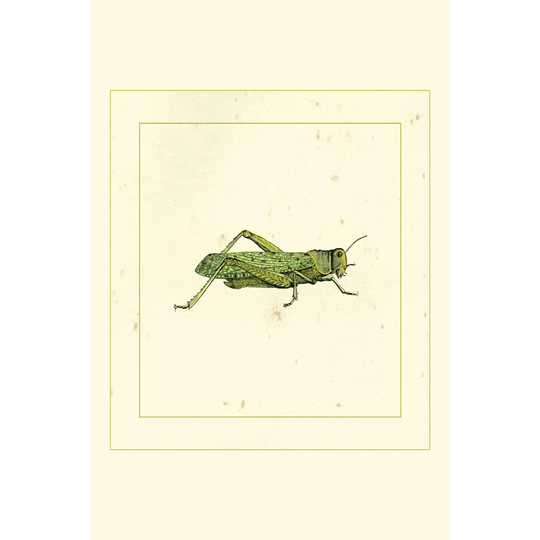 Green Hopper