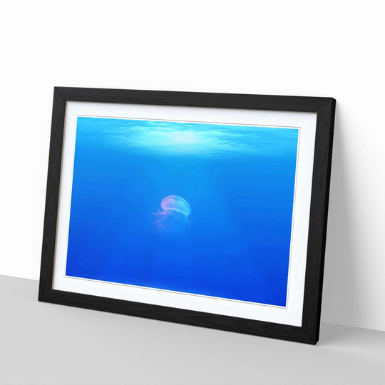 'Jellyfish 5' Framed Graphic Art