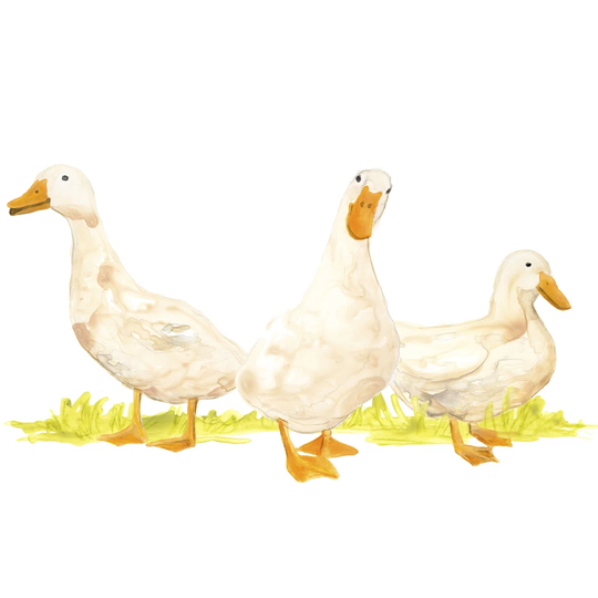 Quack Squad I - Wrapped Canvas Painting