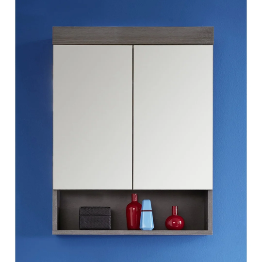 Kelli 58 x 75cm Wall Mounted Mirror Cabinet