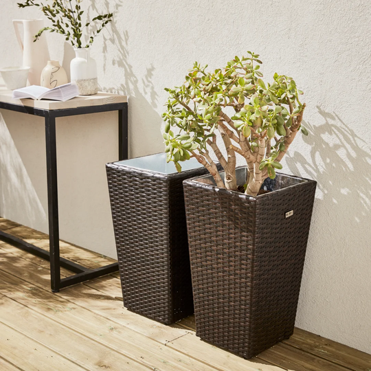 Chimezie Rattan Plant Pot