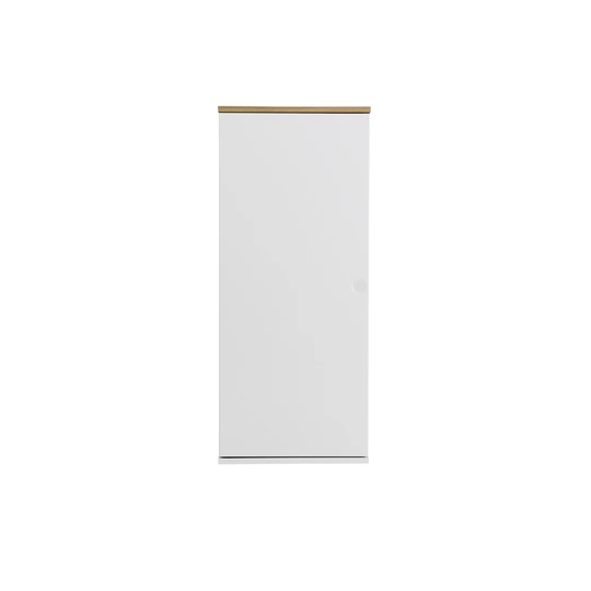 Zoraida 37cm x 21cm Wall Mounted Cabinet