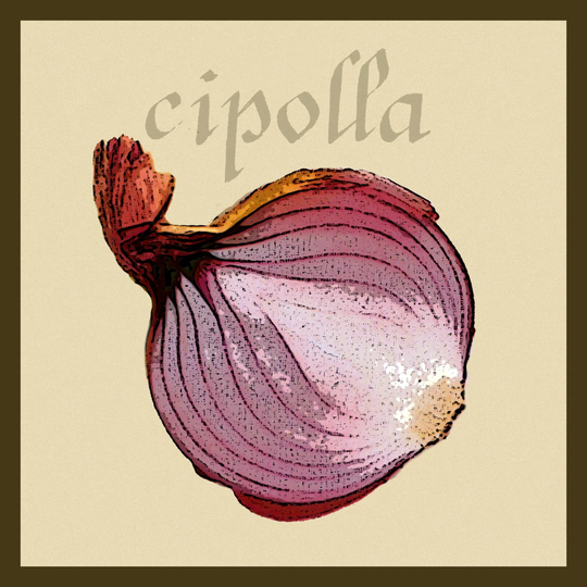 Italian Vegetable VI - Wrapped Canvas Graphic Art