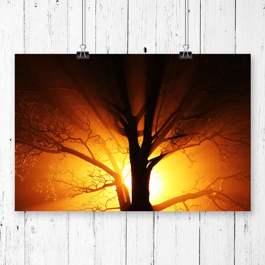 'Sunset and Tree' Graphic Art