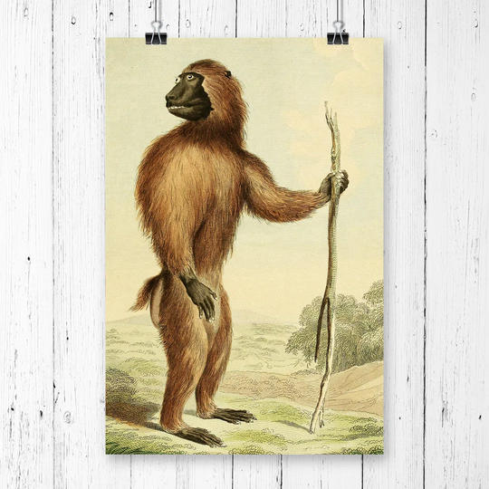 'Vintage Charles R Ryley Wood Baboon' Graphic Art