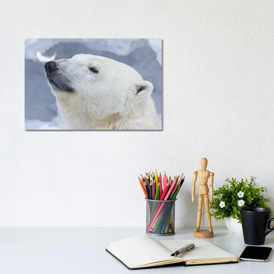 Polar Bear Portrait I by Anton Belovodchenko - Wrapped Canvas Art Prints