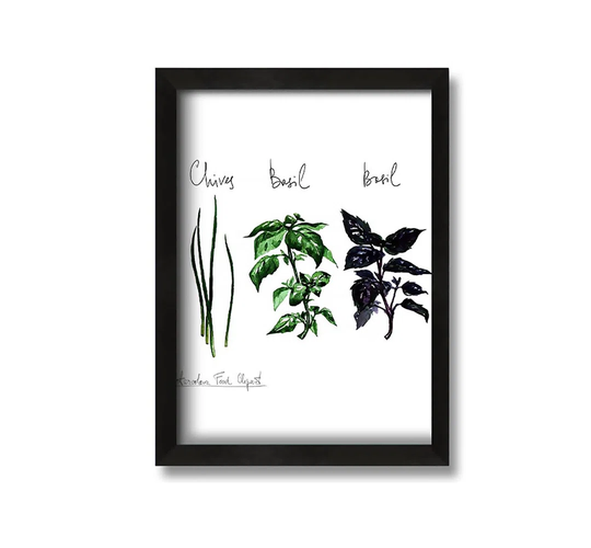 Herb Selection 4 - Picture Frame Painting on Canvas
