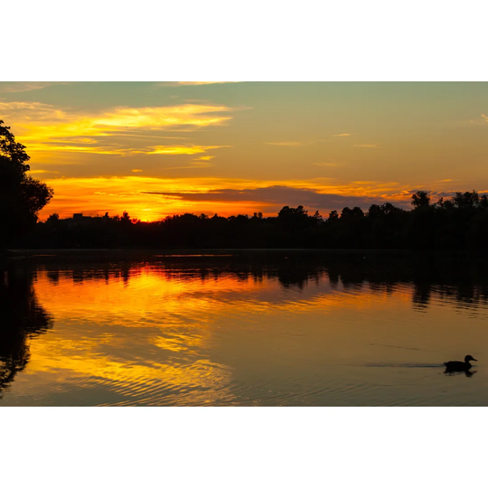 Olgin Pond In Petergof, Saint Petersburg, Russia.