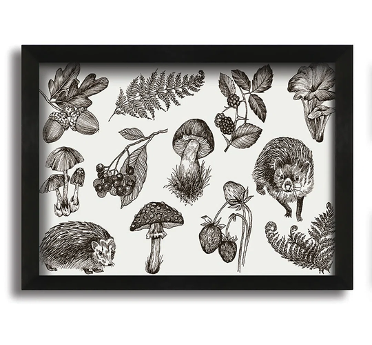 British Flowers and Wildlife - Picture Frame Graphic Art on Canvas