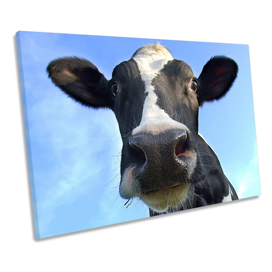 Cow Farm Animal - Wrapped Canvas Art Prints