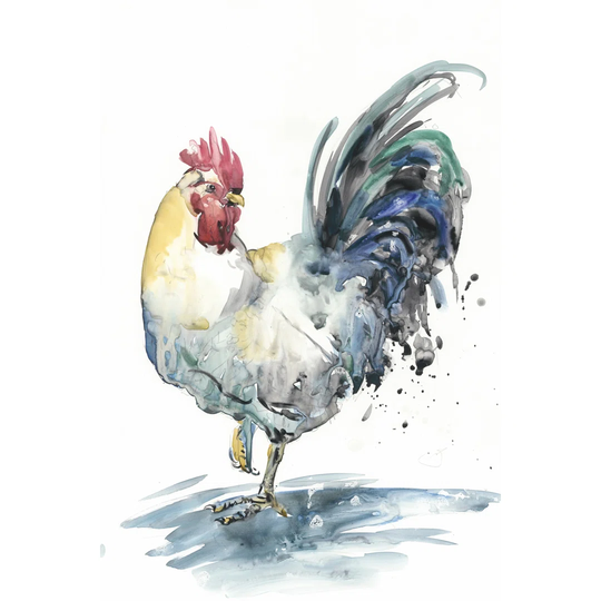 Rooster Splash I