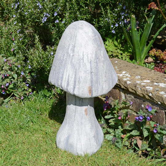 Costa Toadstool Statue