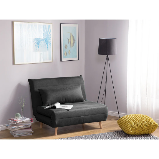 Pat 2 Seater Fold Out Sofa Bed