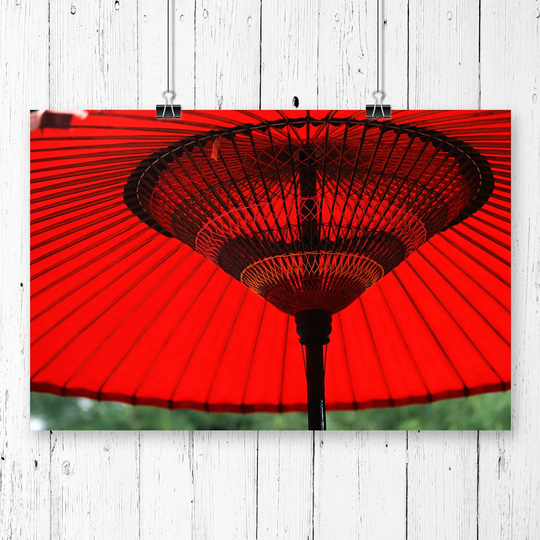 'Japanese Umbrella' Graphic Art