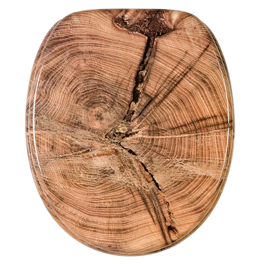 Old Tree Soft Close Elongated Toilet Seat