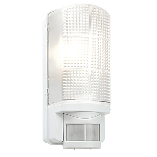1-Light Wall Pack