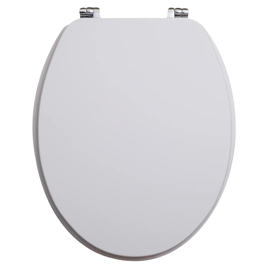 Demopolis Soft Close Elongated Standard Toilet Seat
